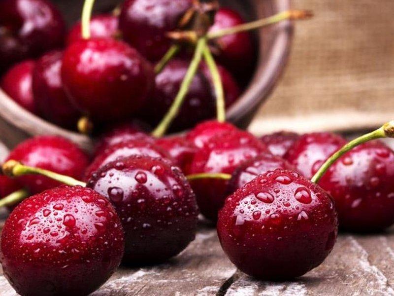 Вишня купить саженцы из питомника в Салавате